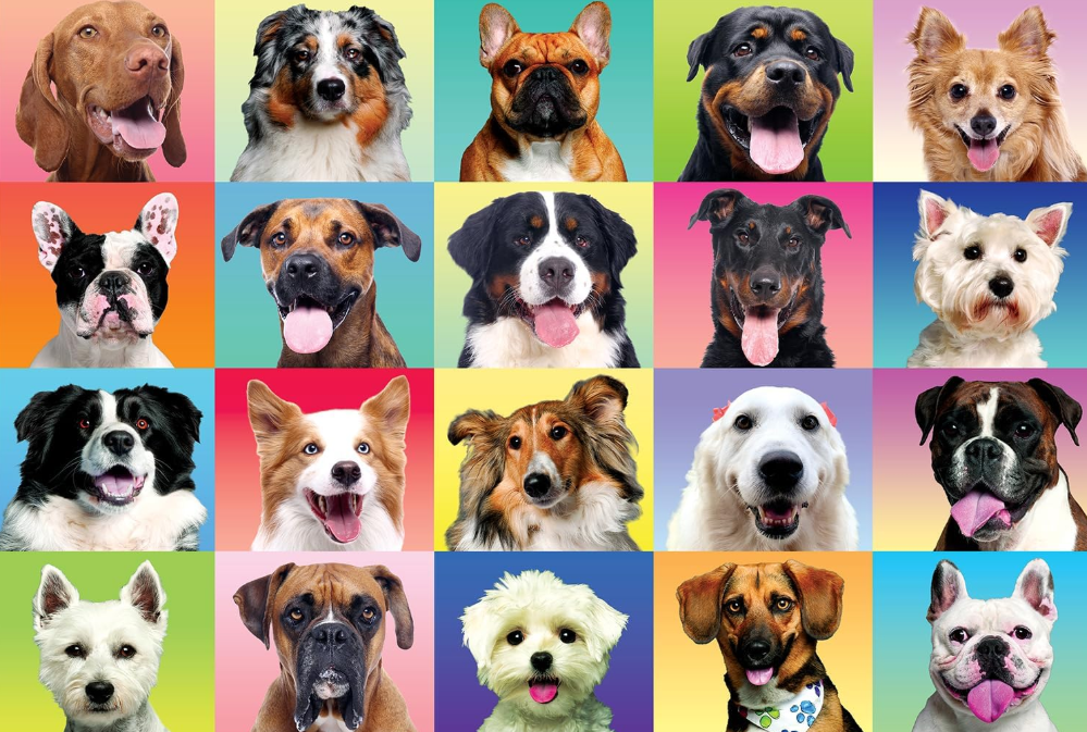 300 Piece Large Dog Jigsaw Puzzle for Kids and Adults with Poster – Fun Family Puzzle Game for Learning, Relaxation & Gift